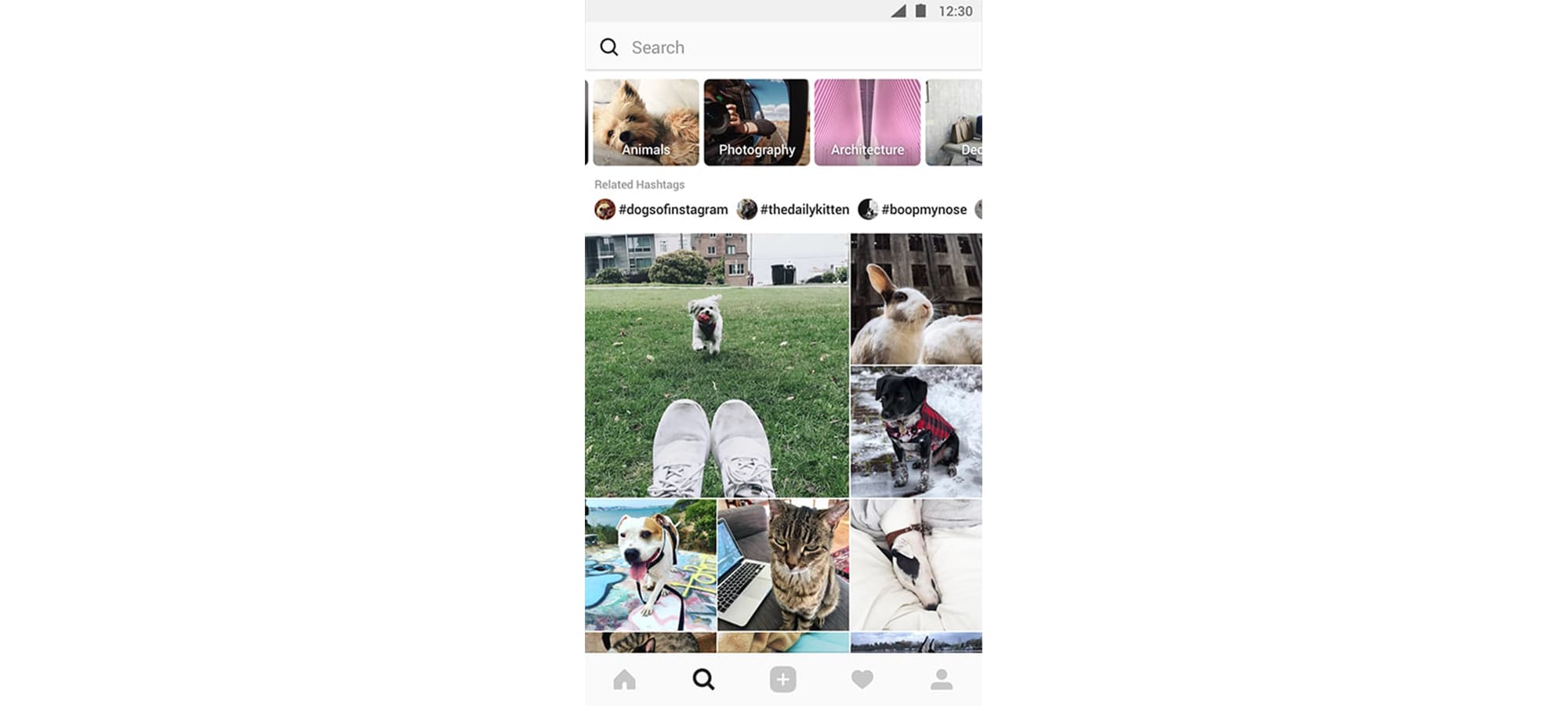 Instagram - Explore and Search Page